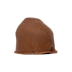 Praline cu ciocolata cu lapte8