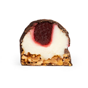 Praline cu ciocolata neagra4