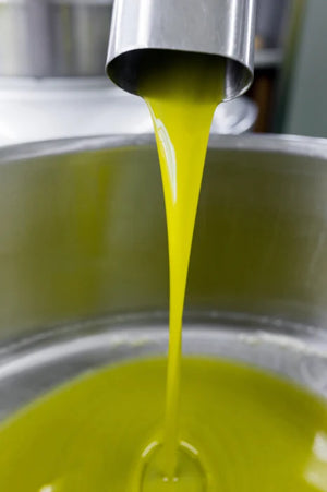 Pachet 3 x Agoureleo Medicinal BIO Pangallos 500 ml – 15% reducere