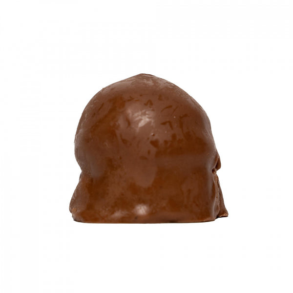 Praline cu ciocolata cu lapte